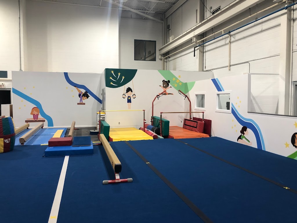 Winstars Gymnastics Training Centre | 8400 Twin Oaks Dr, Windsor, ON N8N 5C2, Canada | Phone: (226) 676-0630