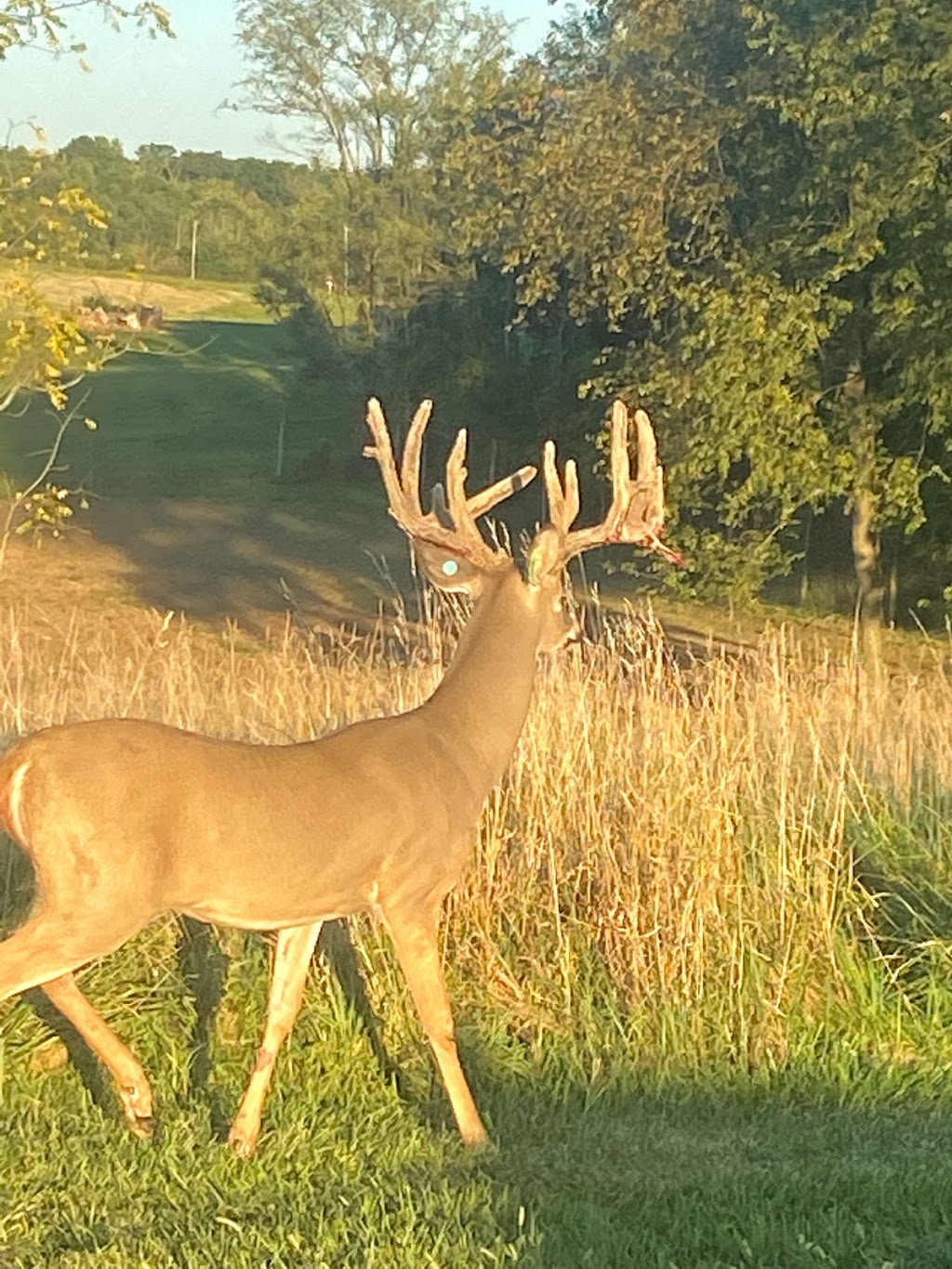 Midwest Woodlots, LLC | 9179 E Old Rd 30, Pierceton, IN 46562, USA | Phone: (574) 265-6996