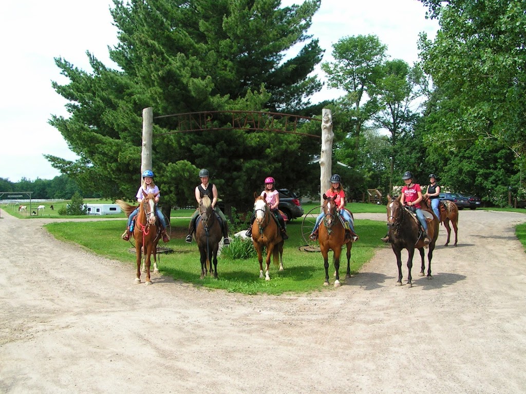 RNR Ranch & Tack | 2697 Nevers Dam Rd, St Croix Falls, WI 54024, USA | Phone: (715) 483-9292