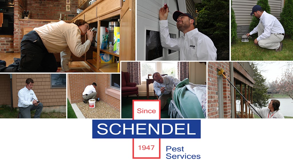 Schendel Pest Services | 1545 S Broadway, Wichita, KS 67211, USA | Phone: (316) 262-2332