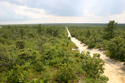 New Jersey Pinelands National Reserve | 853 Atsion Rd, Shamong, NJ 08088, USA | Phone: (609) 894-7300