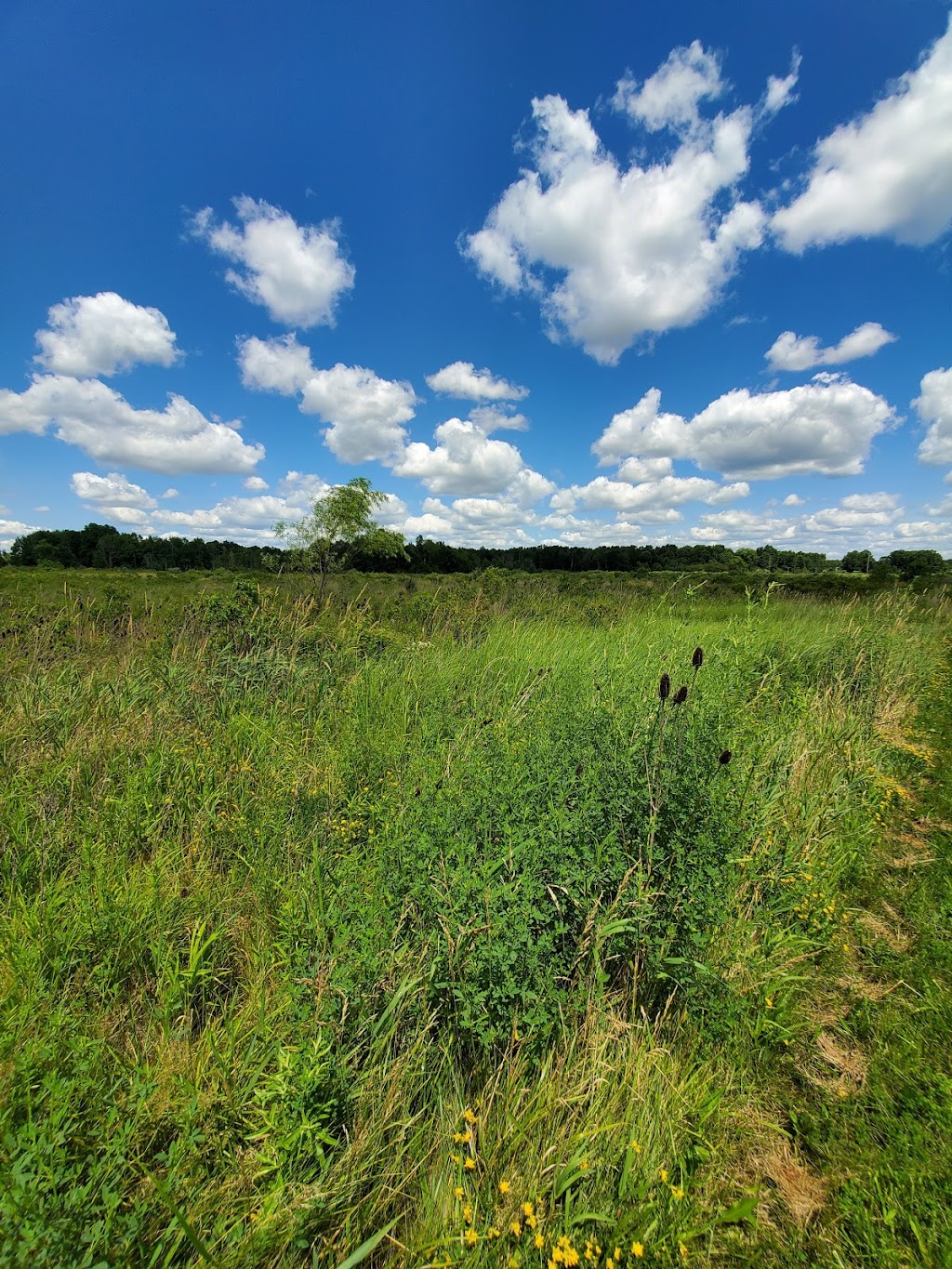 Mill Creek Preserve | 2819 W Western Reserve Rd, Canfield, OH 44406, USA | Phone: (330) 702-3000