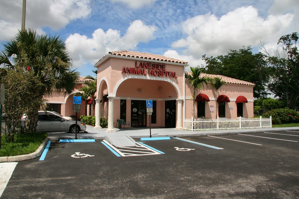 Lakeside Animal Hospital | 9601 W Broward Blvd, Plantation, FL 33324, USA | Phone: (954) 474-8808