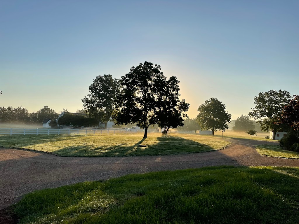 Inn At Warner Hall | 4750 Warner Hall Rd, Gloucester, VA 23061, USA | Phone: (800) 331-2720