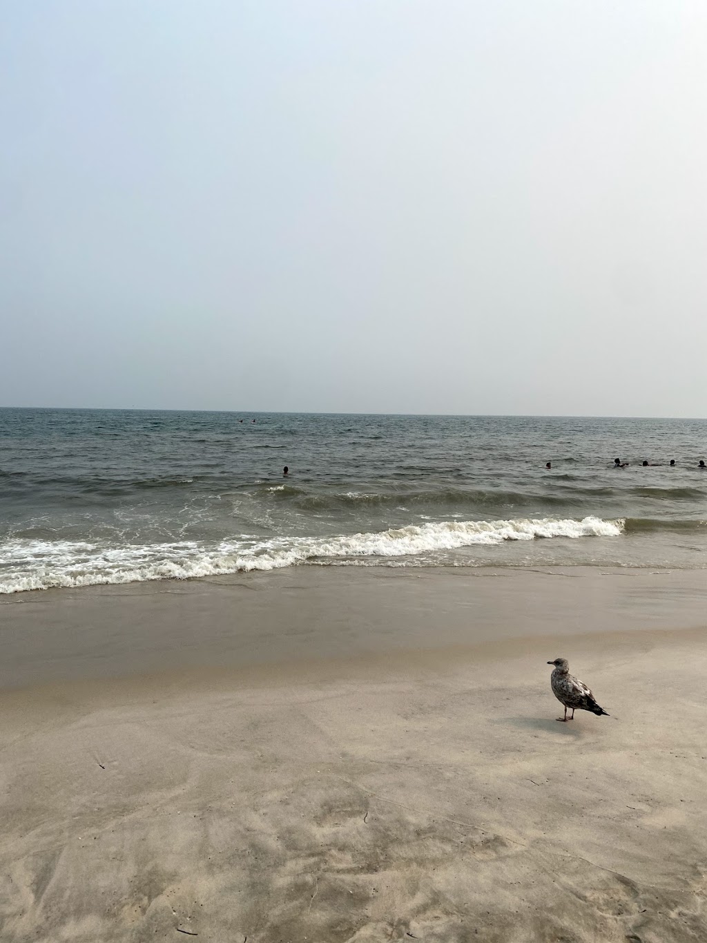 Jones Beach Field 6 | Ocean Pkwy, Wantagh, NY 11793, USA | Phone: (516) 785-1600