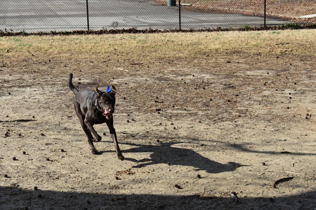 Fort Lee Dog Park | 9024 Battle Dr, Fort Lee, VA 23801, USA | Phone: (804) 765-1539