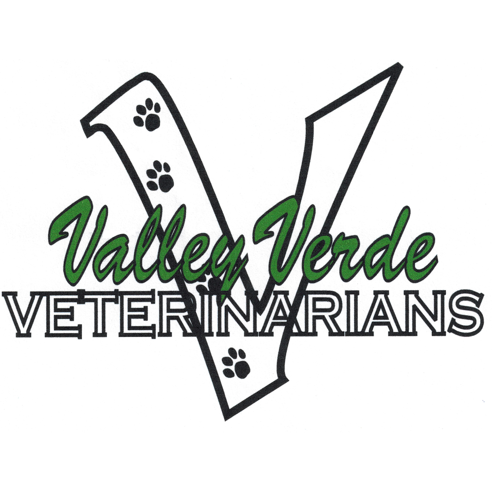 Valley Verde Veterinarians | 101 South La Cañada Drive #42, Green Valley, AZ 85614, USA | Phone: (520) 393-7387