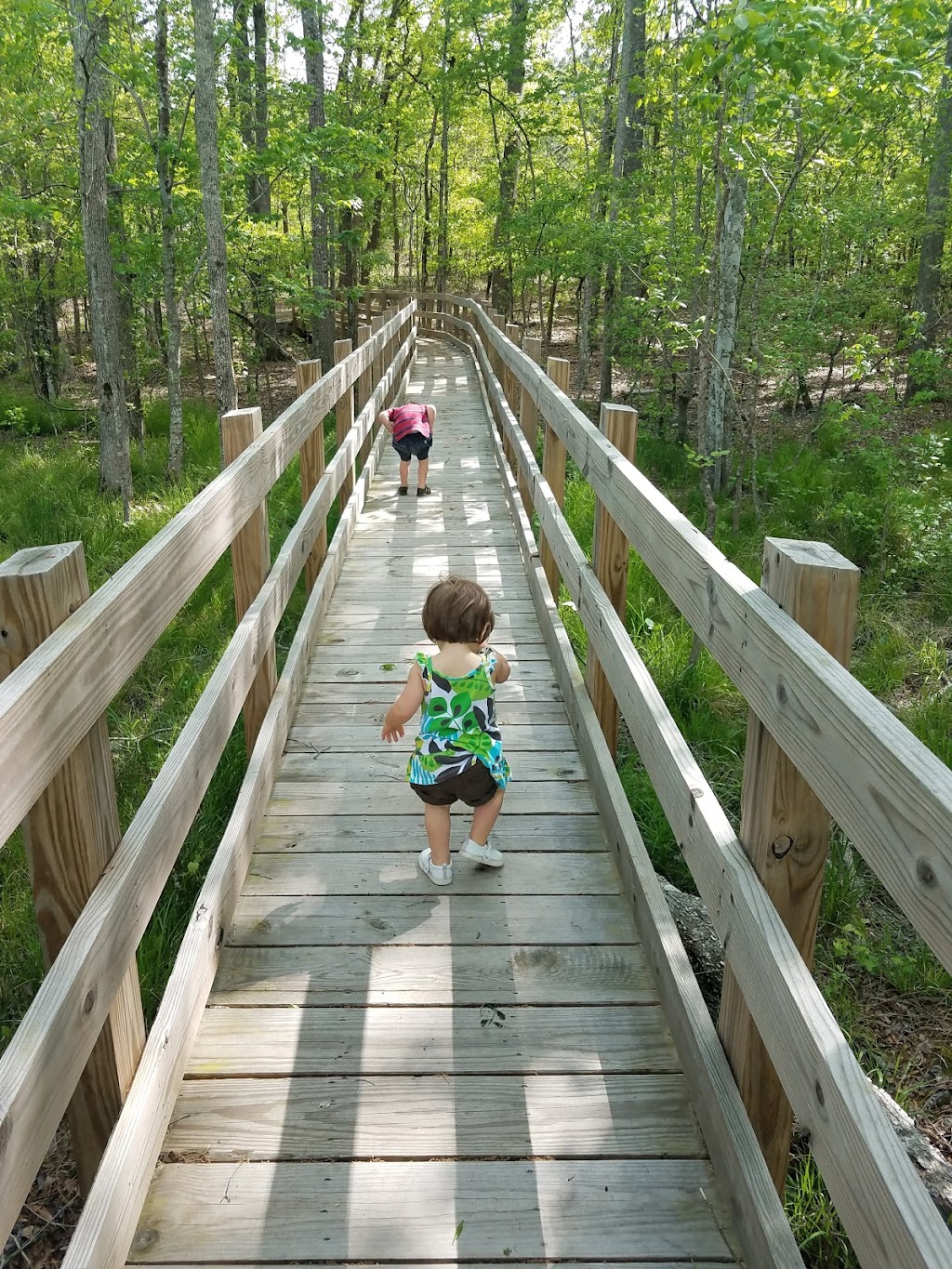 Nesmith Preserve - Starrs Mill Environmental Trail & Boardwalk | 101 Panther Path, Fayetteville, GA 30215, USA | Phone: (770) 486-7774