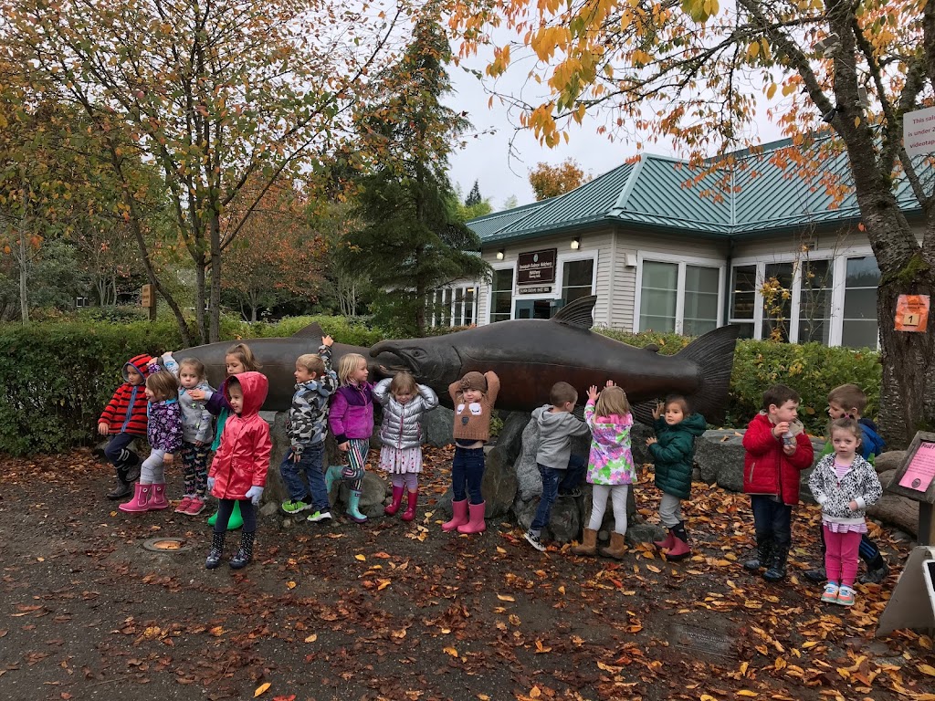 Cedars Montessori | 5011 Lake Alice Rd, Fall City, WA 98024, USA | Phone: (425) 222-7390