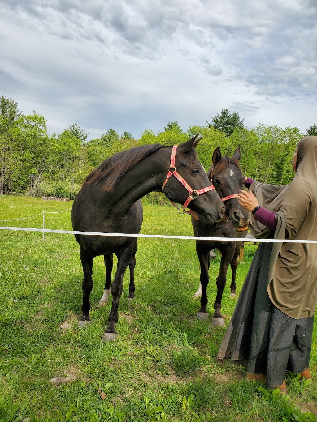 Barakah Heritage Farm LLC | 13563 Ingham Rd, Glen Rock, PA 17327, USA | Phone: (717) 759-4242