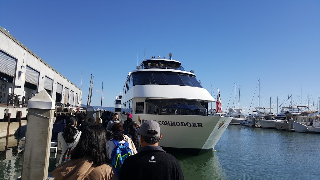 Williwaw LLC | South Beach Harbor, Pier 40, Dock, 3, San Francisco, CA 94107, USA | Phone: (415) 218-0295