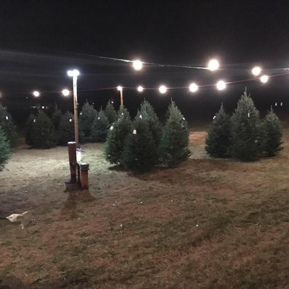 Callahan Christmas Trees- Kernersville | 2040 Dean Rd, Kernersville, NC 27284, USA | Phone: (336) 817-0598