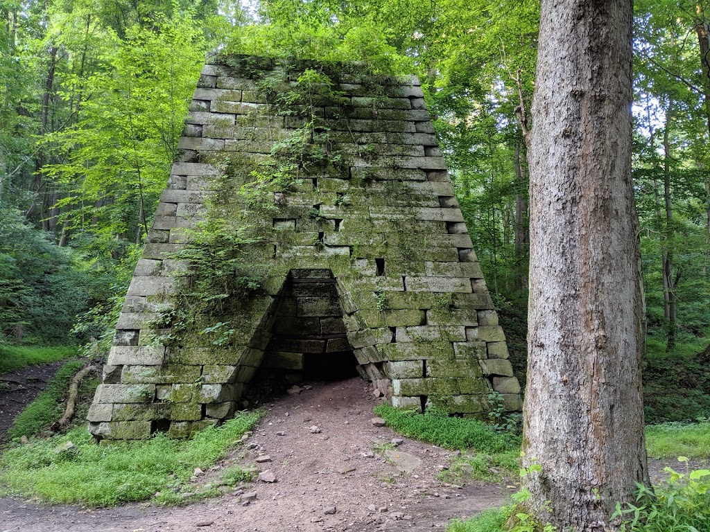 Coopers Rock State Forest | 61 County Line Dr, Bruceton Mills, WV 26525, USA | Phone: (304) 594-1561