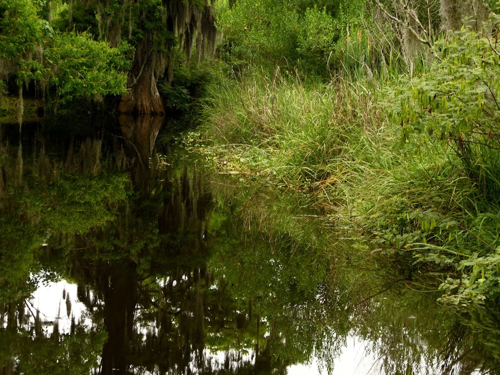 River Oaks Park | 1000 River Oaks Rd, Jacksonville, FL 32207, USA | Phone: (904) 630-2489