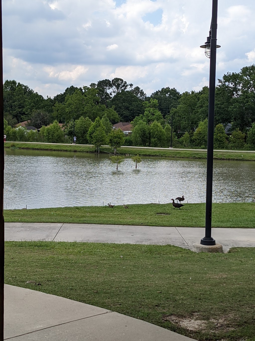 Dywana Mack | 1 Civic Plaza Dr SUITE 625, Carson, CA 907452243, USA | Phone: (310) 549-4500