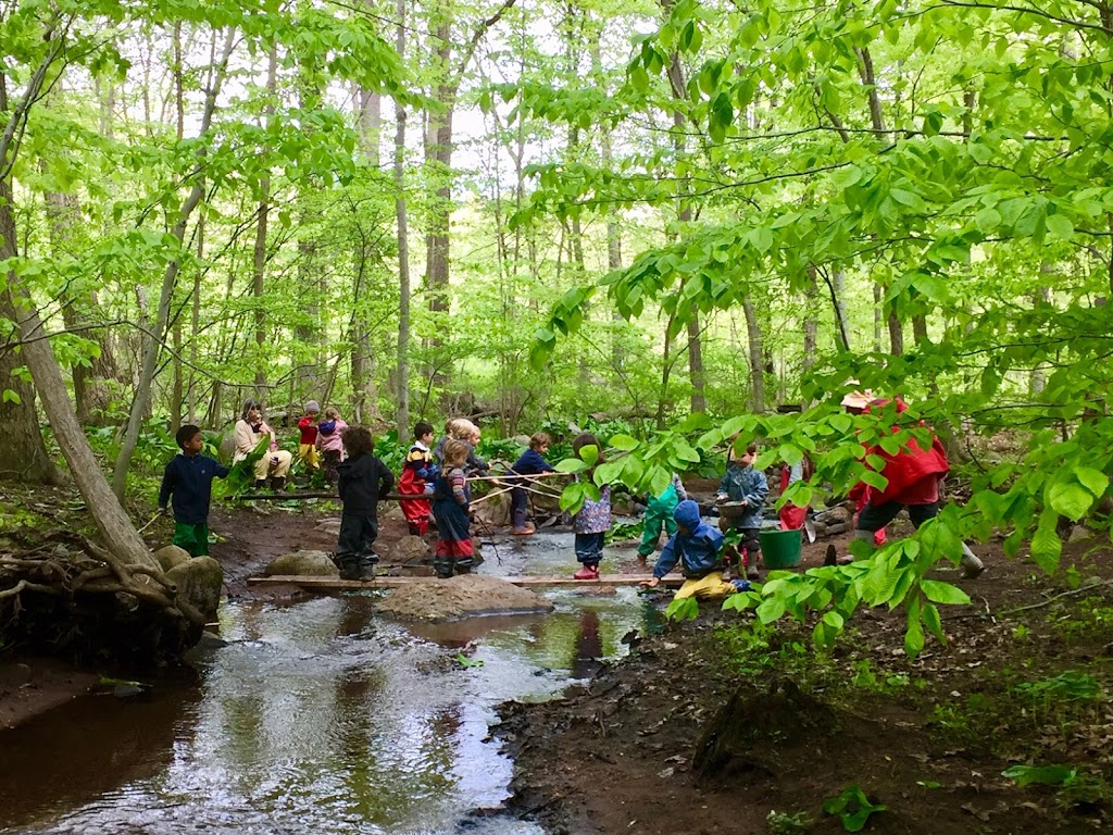 Green Meadow Waldorf School | 307 Hungry Hollow Rd, Chestnut Ridge, NY 10977, USA | Phone: (845) 356-2514