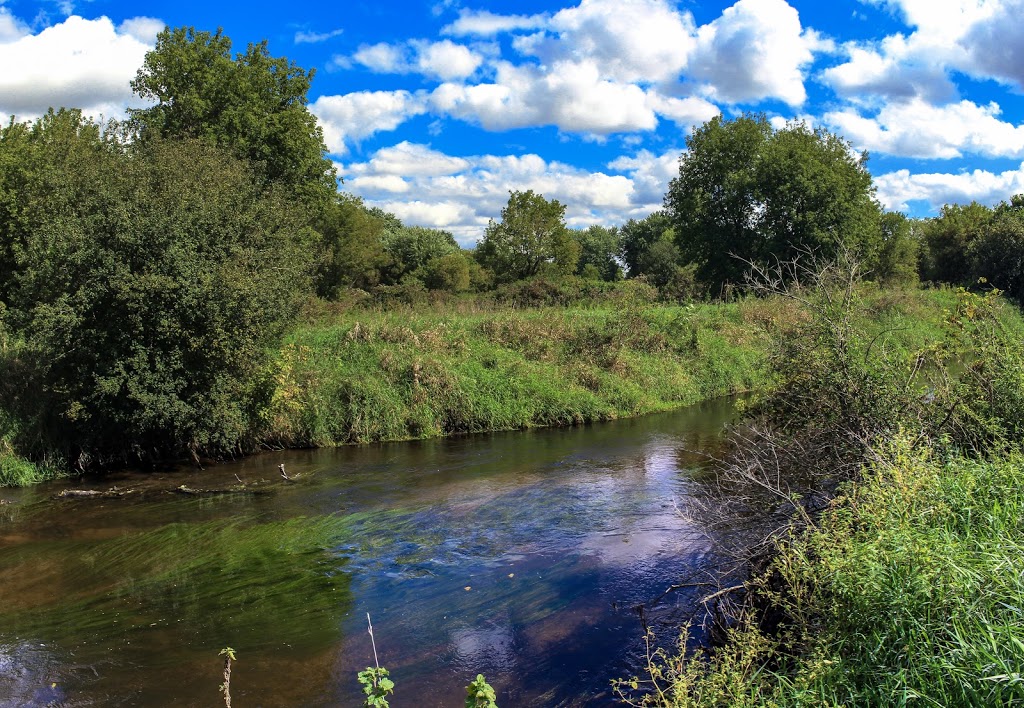 Badfish Creek State Wildlife Area | Old Stone Rd, Madison, WI 53711 | Phone: (888) 936-7463