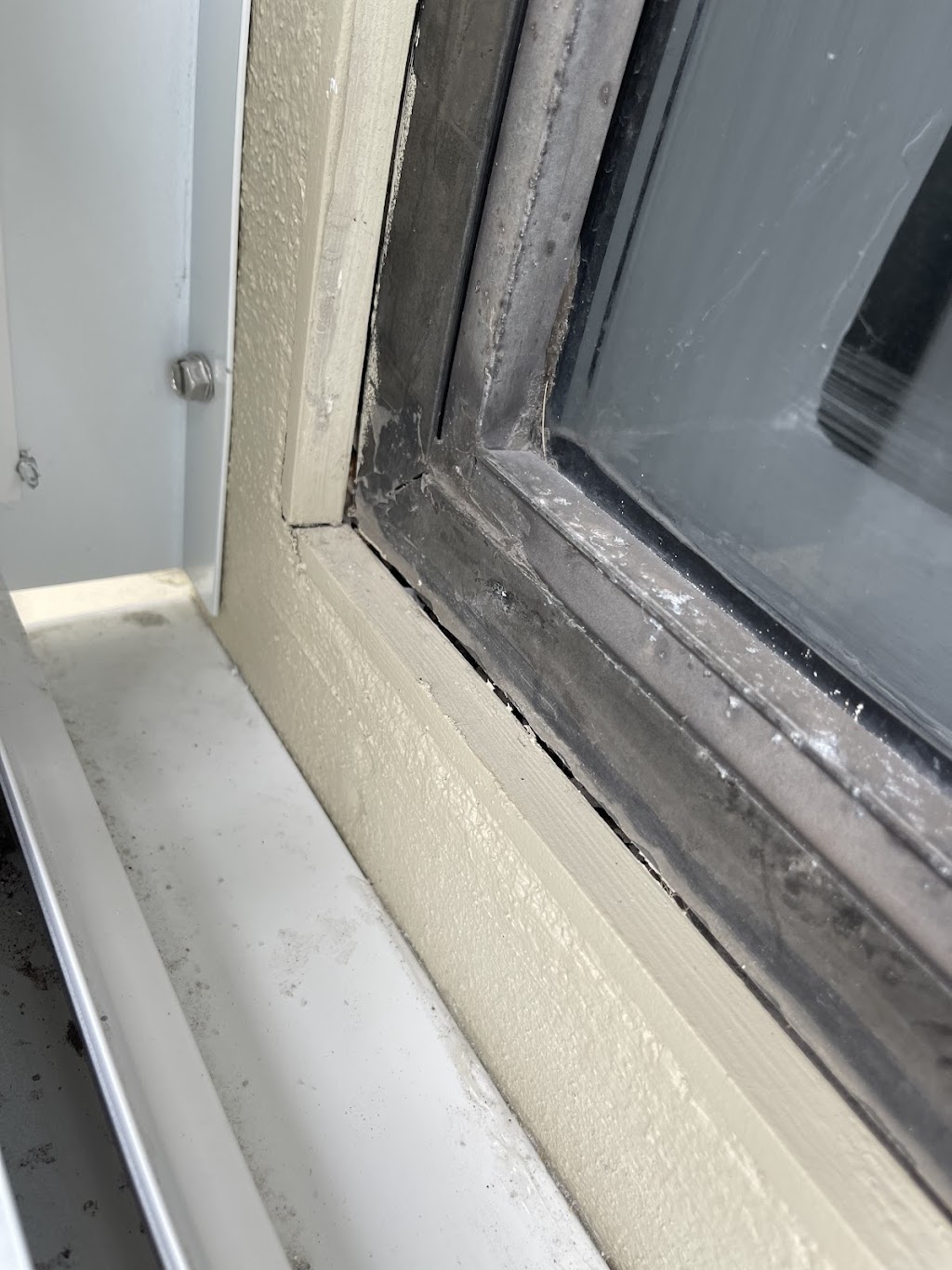 Marciano Enterprise Painting | 1448 Funston St, Hollywood, FL 33020, USA | Phone: (954) 934-4124