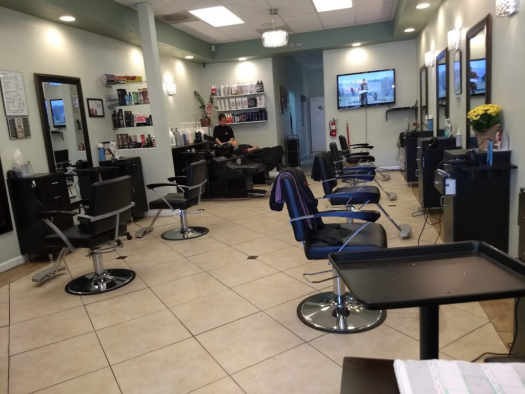 Dream Salon | 21314 San Ramon Valley Blvd, San Ramon, CA 94583, USA | Phone: (925) 560-0882