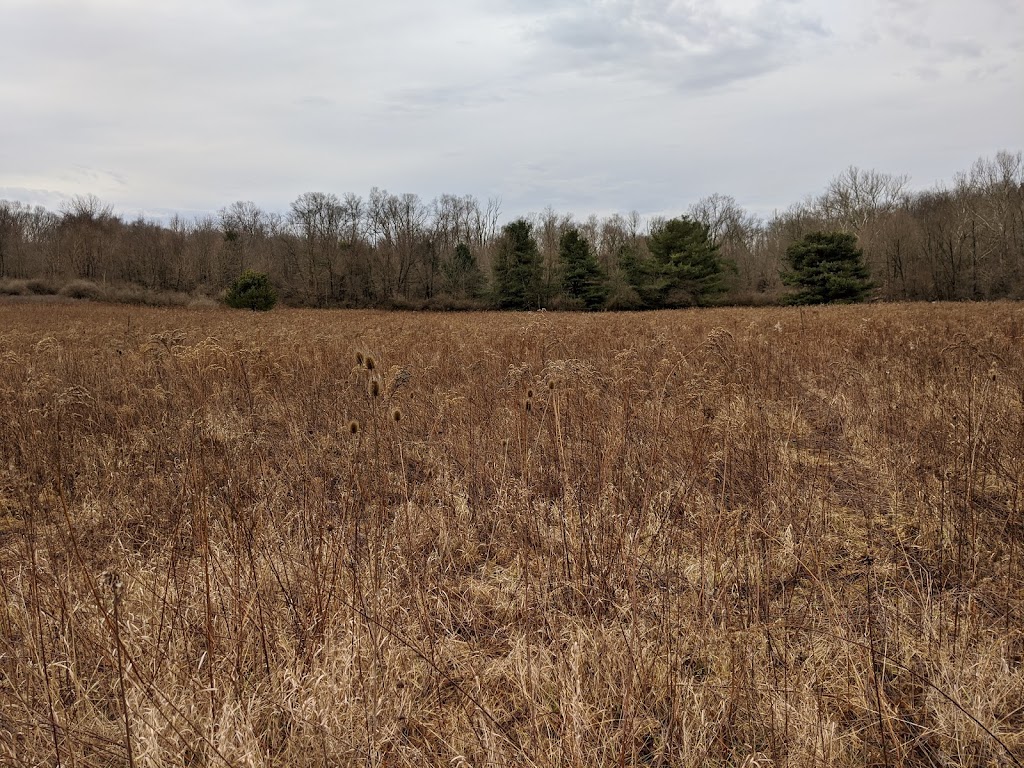 Denison Biological Reserve / Polly Anderson Field Station | 1760 North St NW, Granville, OH 43023, USA | Phone: (740) 587-0810