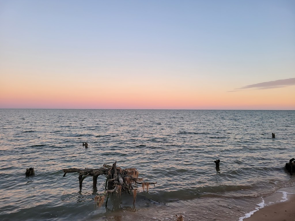 Bethel Beach Natural Area Preserve | State Rte 609, Onemo, VA 23130, USA | Phone: (804) 786-7951