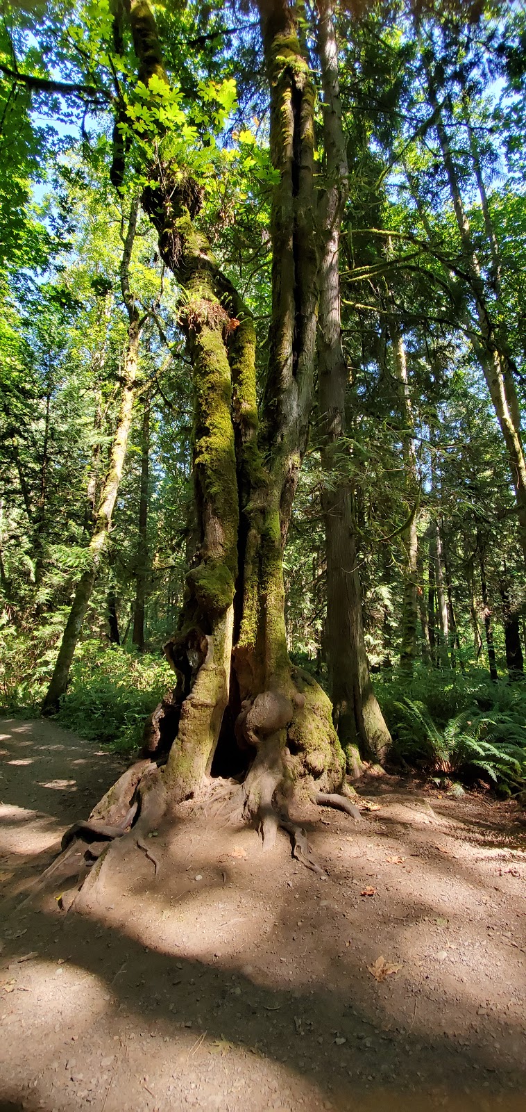 Lord Hill Regional Park South Parking Lot | 13823 Old Tester Rd, Snohomish, WA 98290, USA | Phone: (425) 388-6600