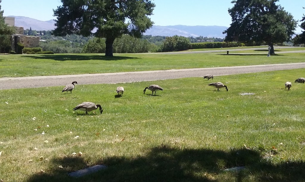 Mountain View Cemetery | 435 Stoker Ave, Reno, NV 89503, USA | Phone: (775) 329-9231