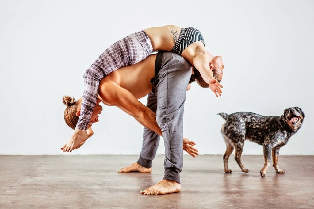 Spotted Dog Yoga & SUP | 2780 E Bidwell St #300, Folsom, CA 95630, USA | Phone: (916) 990-1720