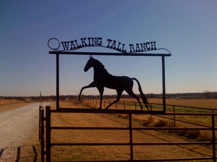 Walking Tall Ranch | 9940 Cole Rd, Pilot Point, TX 76258, USA | Phone: (817) 368-5204