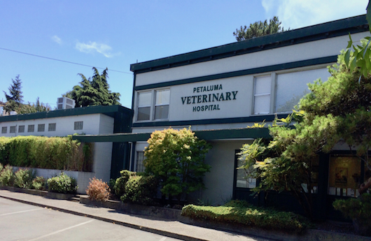 Petaluma Veterinary Hospital | 2443 Petaluma Blvd N, Petaluma, CA 94952, USA | Phone: (707) 762-3511