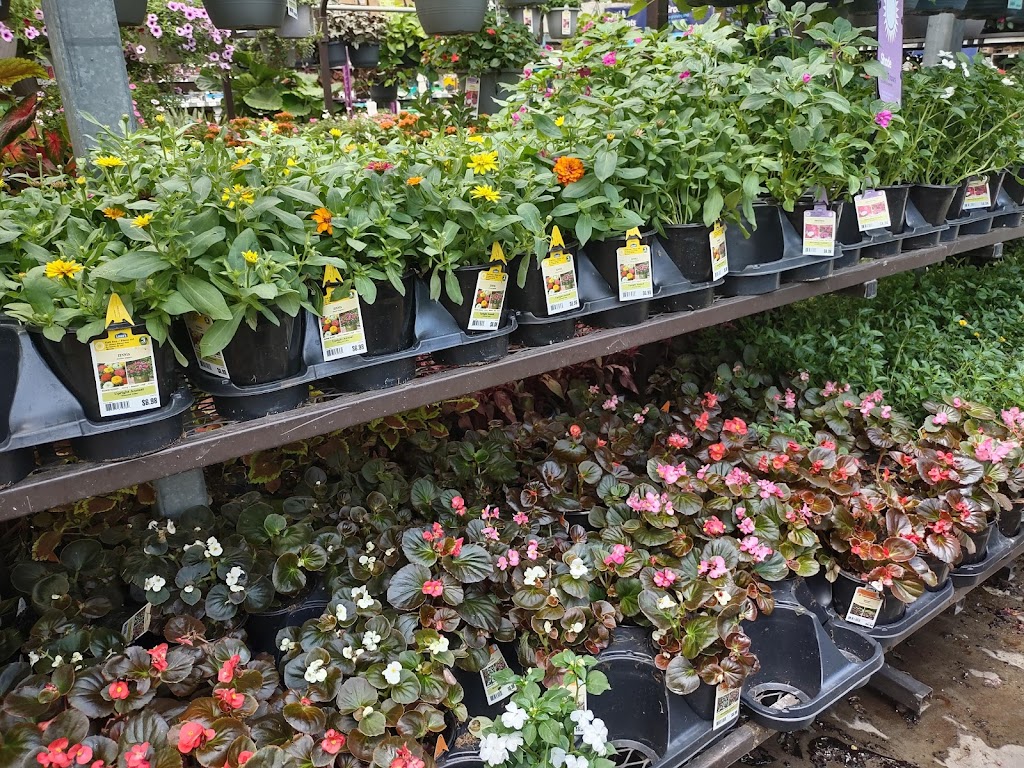 Lowes Garden Center | 6011 Lemmon Ave, Dallas, TX 75209, USA | Phone: (214) 259-0021