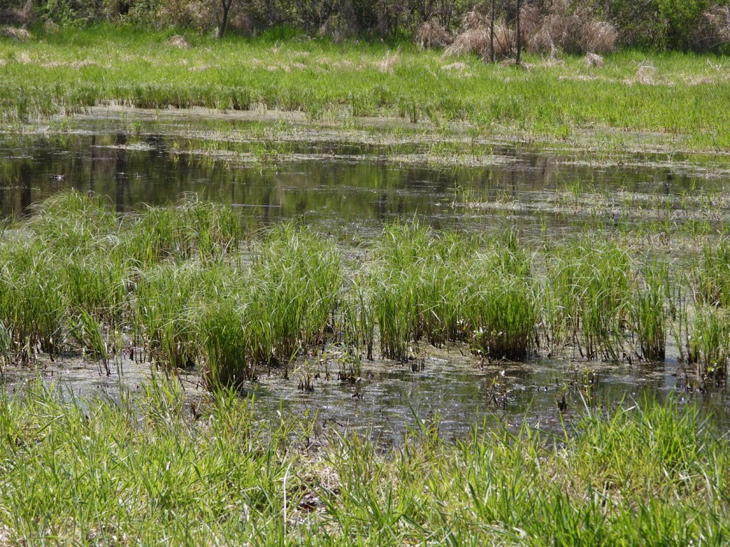 Hook Lake Wildlife Area | 4564 Rutland Dunn Town Line Rd, Oregon, WI 53575, USA | Phone: (888) 936-7463