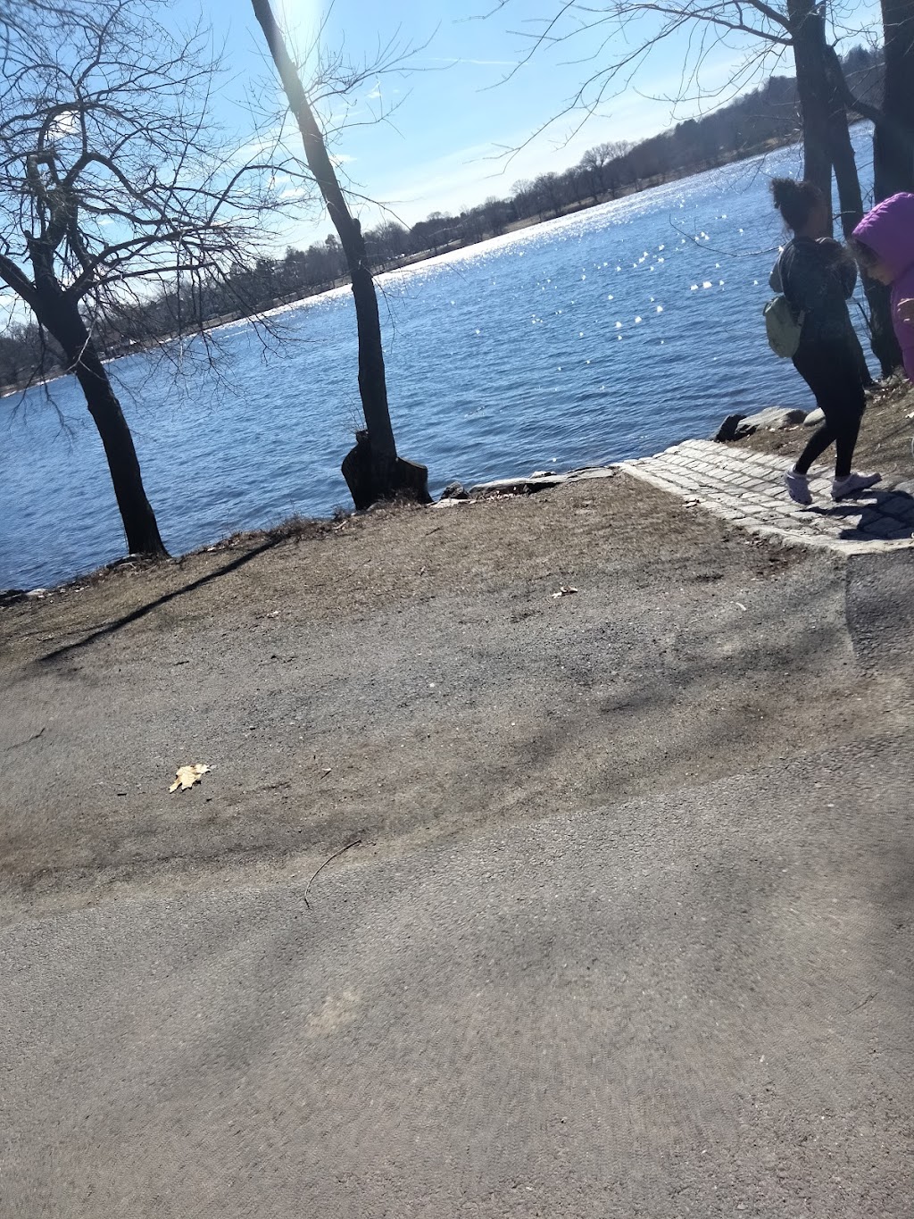 Courageous Sailing at Jamaica Pond Boat House | 507 Jamaicaway, Jamaica Plain, MA 02130, USA | Phone: (617) 522-5061