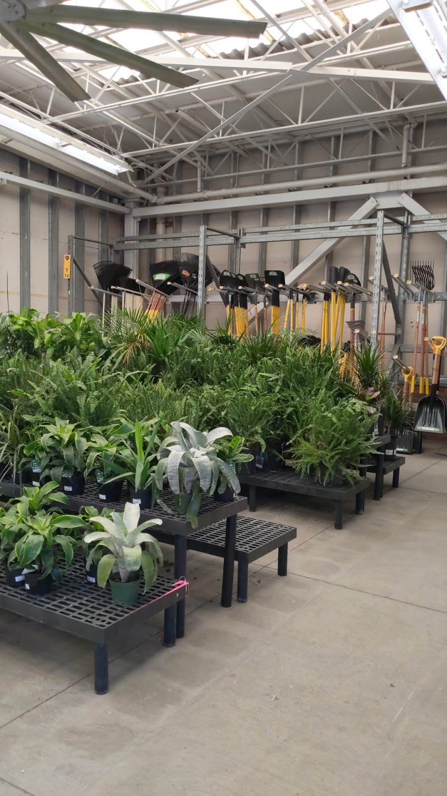 Walmart Garden Center | 2750 E Germann Rd, Chandler, AZ 85286, USA | Phone: (480) 812-2930