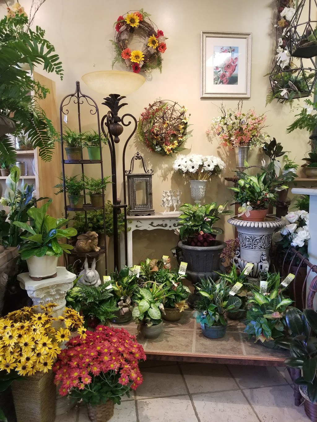 Botanica Flowers and Gifts | 2130-L, New Garden Rd, Greensboro, NC 27410, USA | Phone: (336) 288-1908