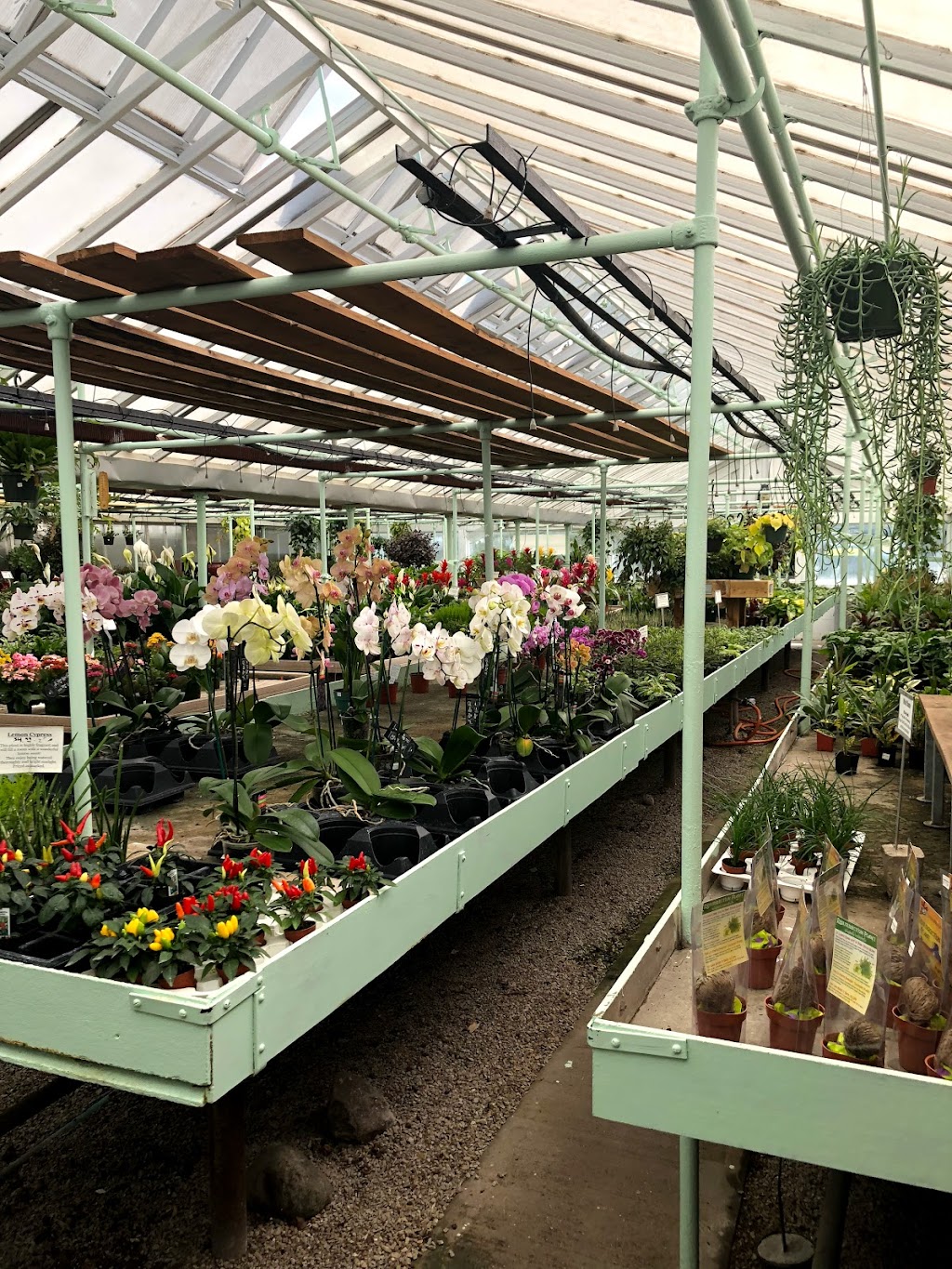 Bayside Garden Center | 400 E Brown Deer Rd, Bayside, WI 53217 | Phone: (414) 352-6159