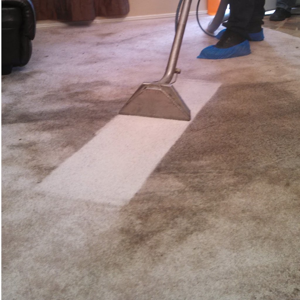 Local Sinton Tile & Carpet Cleaning - Dirt Free | 515 W Sinton St, Sinton, TX 78387, USA | Phone: (361) 792-0280