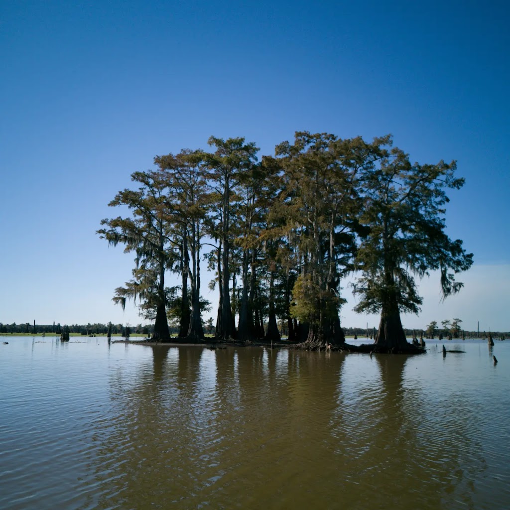 McGees Louisiana Swamp & Airboat Tours | 1337 Henderson Levee Rd, Henderson, LA 70517, USA | Phone: (337) 228-2384