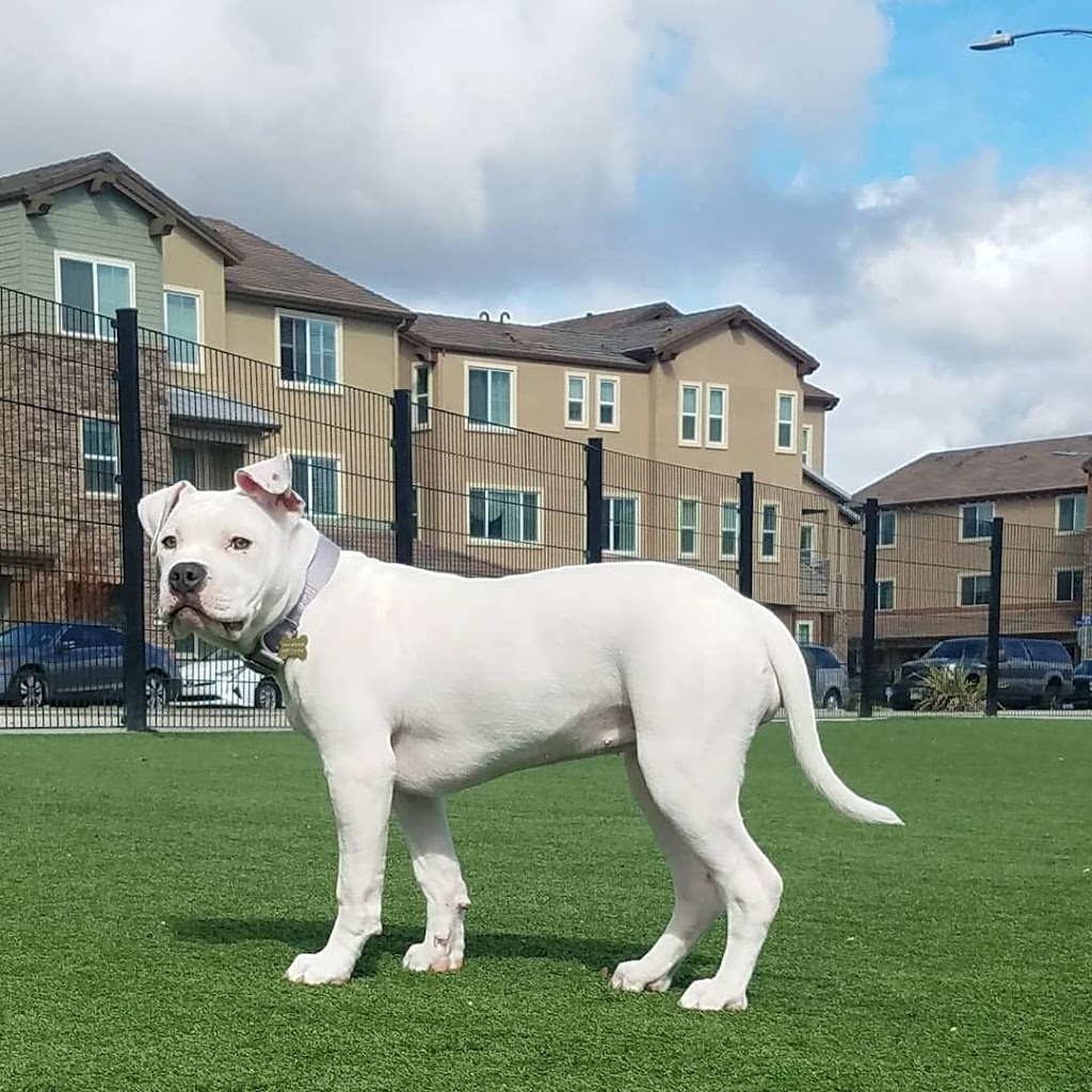 Raleigh Linear Park | 6108 Raleigh Rd, San Jose, CA 95123, USA | Phone: (408) 535-3570