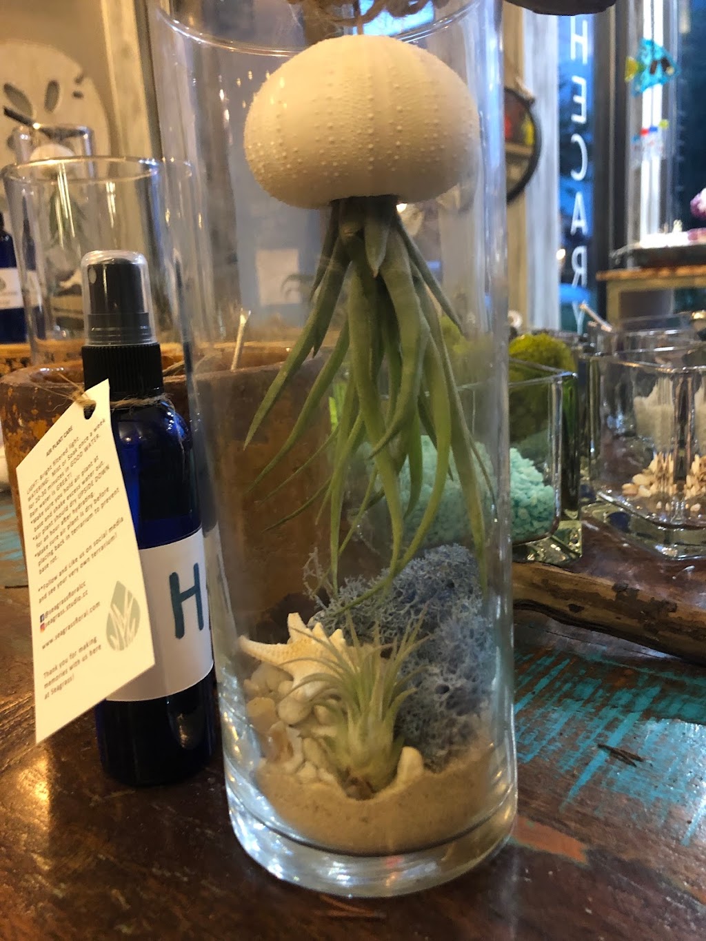 SEAGRASS FLORAL & APOTHECARY | 235 Mason Ave, Cape Charles, VA 23310, USA | Phone: (757) 695-2130