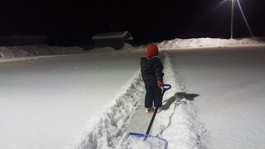 Belle Plaine Ice Skating Rink And Hockey Rink | 210 W Park St, Belle Plaine, MN 56011, USA | Phone: (952) 873-2333