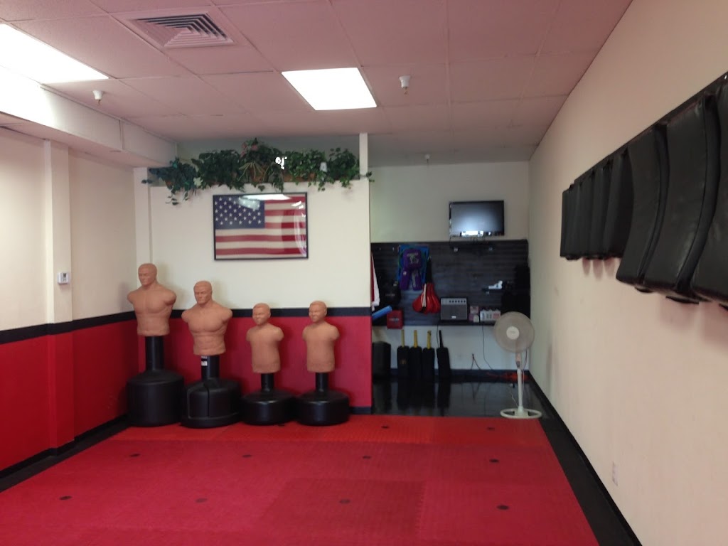 North County Self Defense | 35 Main St #120, Vista, CA 92083, USA | Phone: (760) 434-5871