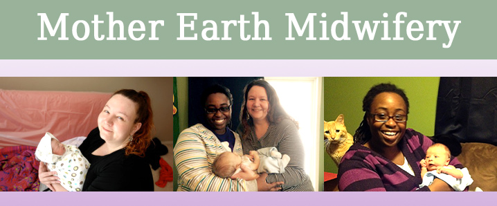 Mother Earth Midwifery | 6270 Munger Rd, Ypsilanti, MI 48197, USA | Phone: (734) 657-0259