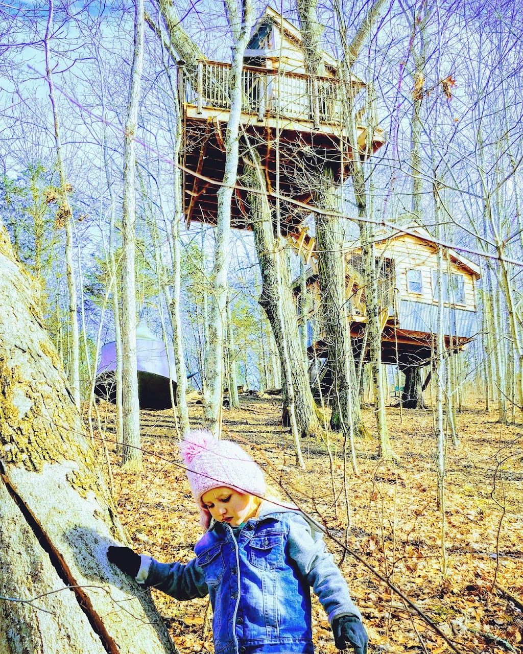 Treehouse Rental Adventures - Earthjoy | 3400 Bridgeville Rd, Brooksville, KY 41004, USA | Phone: (859) 380-1945