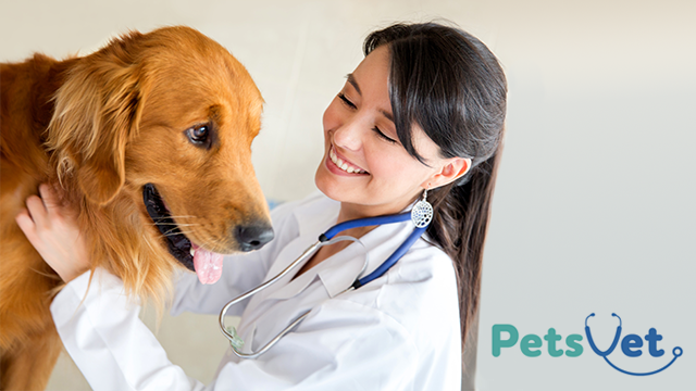 PetsVet Veterinary Hospital | 6755 Camino Arroyo Bldg 5, Gilroy, CA 95020, USA | Phone: (408) 638-4441