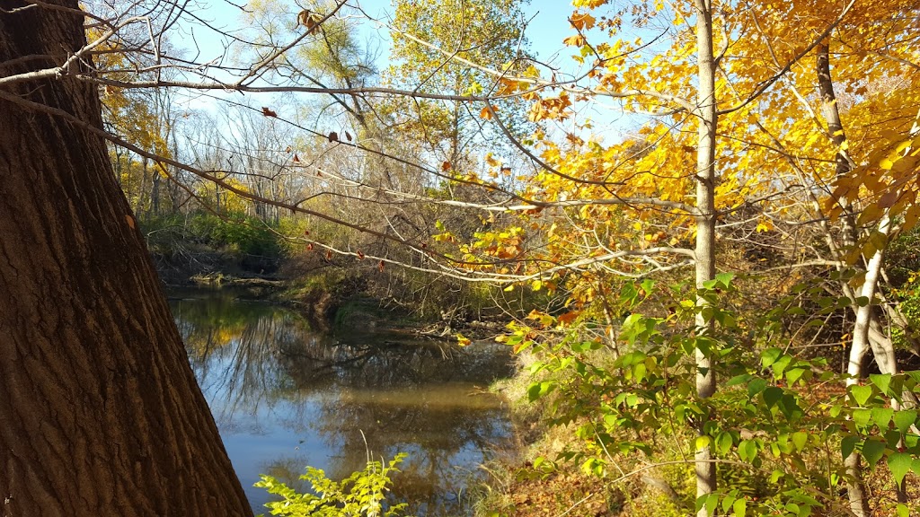 Beaver Creek Preserve | 23028 Long Judson Rd, Grand Rapids, OH 43522, USA | Phone: (419) 353-1897