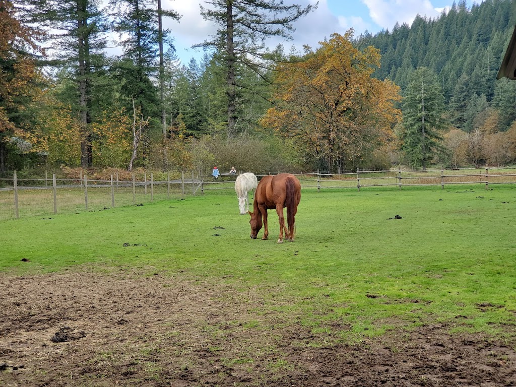 Pomeroy Farm | 20902 NE Lucia Falls Rd, Yacolt, WA 98675, USA | Phone: (360) 686-3537