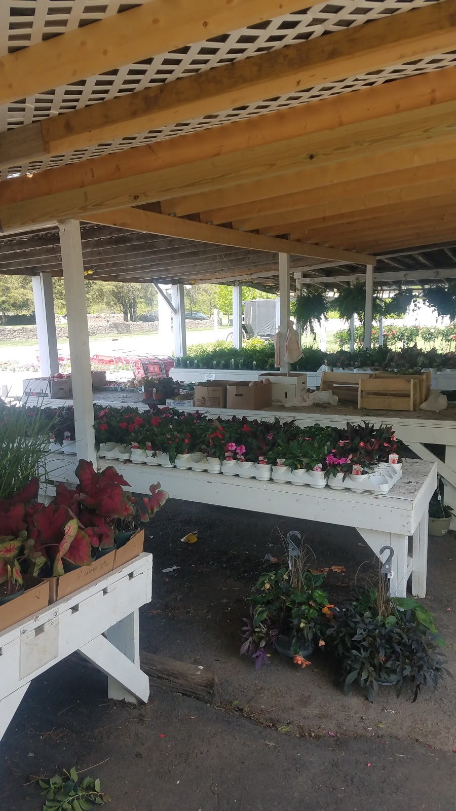 Reeds Produce & Garden Center | 342 4th Ave N, Franklin, TN 37064, USA | Phone: (615) 791-7865