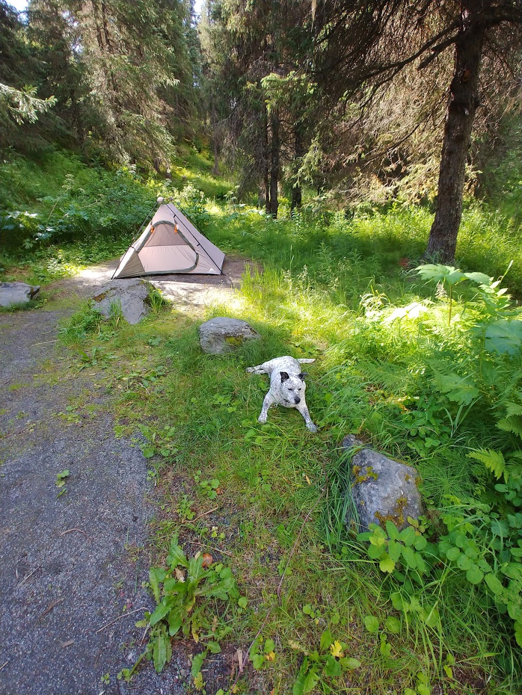 Bertha Creek Campground | Seward Hwy, Hope, AK 99605, USA | Phone: (907) 783-3242