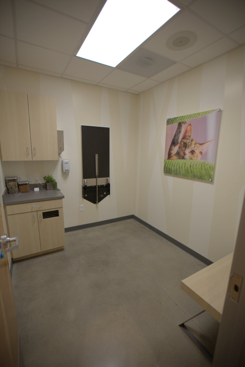 THRIVE Affordable Vet Care | 27580 W Lugonia Ave, Redlands, CA 92374, USA | Phone: (909) 748-1858